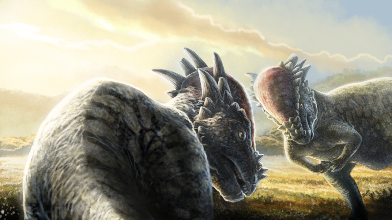 Two Pachycephalosaurus dinosaurs facing each other in a prehistoric landscape