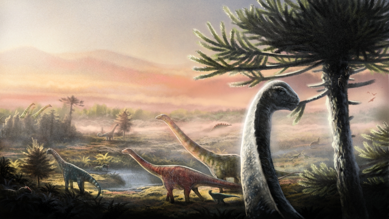 Diverse sauropod dinosaurs coexisting in the Morrison Formation ecosystem, each species occupying different ecological niches