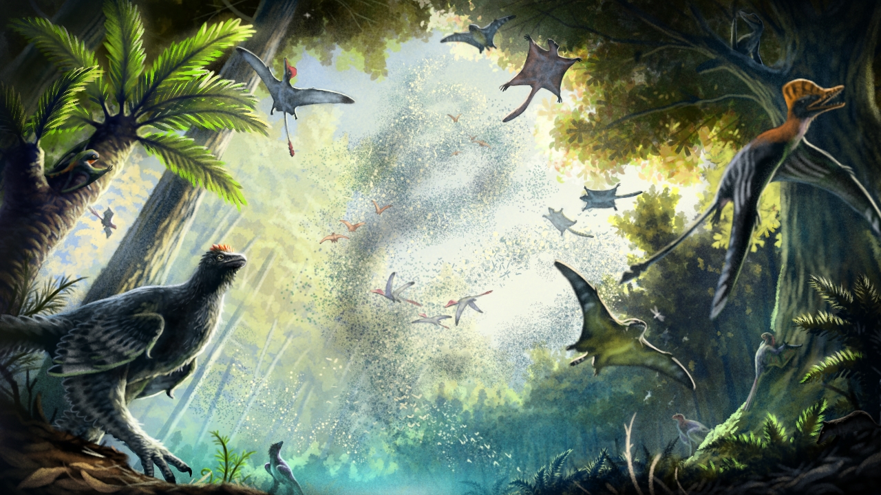 Convergent Evolution